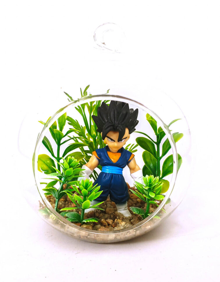 Vegeto