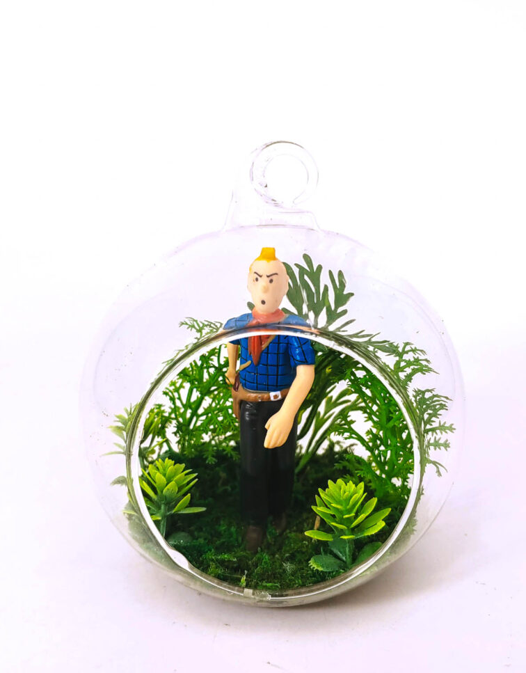 Tintin jungle